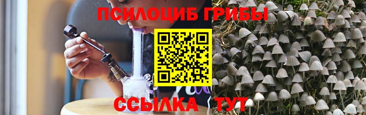 Псилоцибиновые грибы Cubensis  Вход с VPN  Псилоцибиновые грибы Cubensis  Стрежевой 
